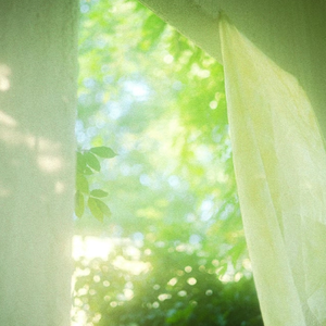 午夜黄色三级片
